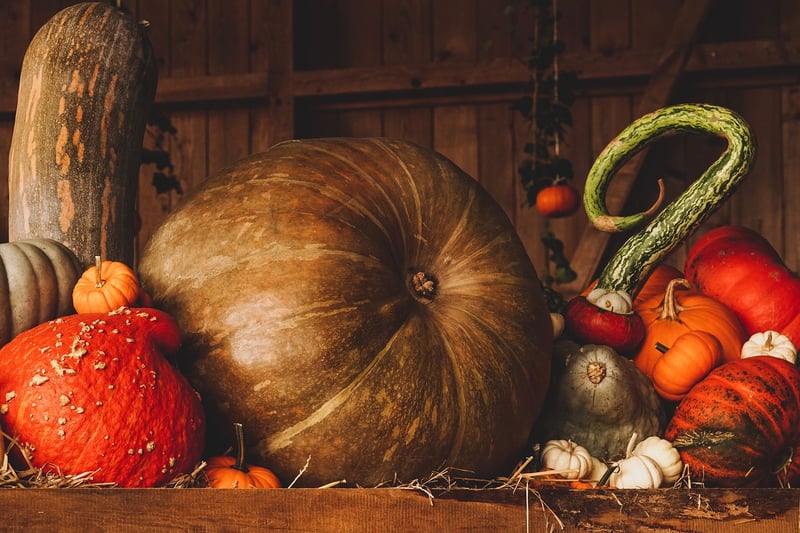Fall Harvest Fest